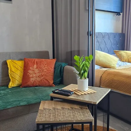 J&m Global Premium 21st Floor Skyline Apartament Katowice